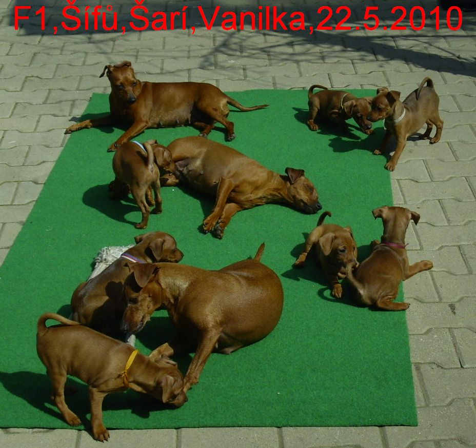 f1--sari-sifu-vanilka-na-slunicku.5-22.5.2010